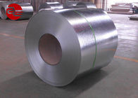 Galvanized Iron Sheet/ Galvanise Steel Plate Hot Rolled Carbon Steel Plate